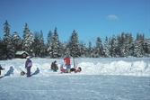 Fikarast i skidspåret vid Ånnaboda, februari 1994