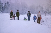 Promenad och skidåkning vid Ånnaboda, december 1976