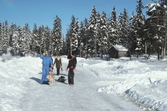 Promenad med hund i Ånnaboda, mars 1978