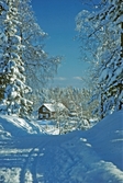 Vinterlandskap med stuga i bakgrunden vid Ånnaboda, februari 1994