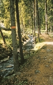 Liten bäck utmed Bergslagsleden, 1980-tal