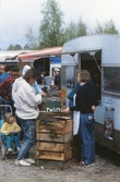Försäljning av rökt fisk säljs på Vildmarksmässan i Ånnaboda, maj 1991