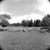 Svedvi sn Rallsta RAÄ 16 Arkeologisk undersökning utförd av Vlm / Henry Simonsson 1960-61.

Gravfältet framrensat och fototornet rest.