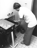 Direktörssekreterare diskar glas, 1970-tal
