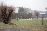 Marabouparken i Sundbyberg