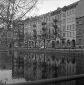 Speglingar av fastigheterna längst Norra strandgatan syns i Svartån, 1970-tal