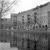 De ståtliga husen längst Norra Strandgatan speglas i Svartån, 1970-tal