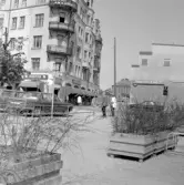 Blomlådor på Järntorget, 1970-tal
