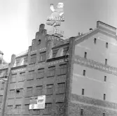 Master-skylten på taket till fastigheten 36, 1970-tal