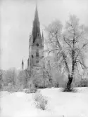 Linköping domkyrka