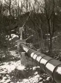 Trärörsledning från Södermalmsgatan i Toltorpsdalen, Mölndal, utförd år 1943.