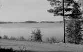 Sjön Rossen, Horndal, Avesta.
