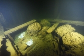 Ett stort antal tunnor påträffades i vraket. På bilden kan man se tio tunnor där åtta av dem är fyllda med osmundar.