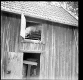 VI-SEKTOR, SOLBACKEN, MUSKÖ