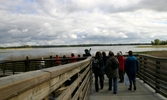 Miljöombuden promenerar i Rynningeviken, 2007-05-10