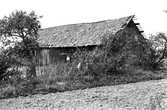 Uthus vid torpet Backetorp under Karlslunds herrgård, 1981