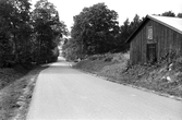 Från Borrarbacken mot ån vid Karlslunds herrgård, 1981