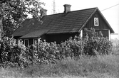 Borrarbacken vid Karlslunds herrgård, 1981