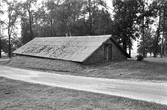 Källare på Karlslunds herrgård, 1981