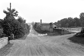 Vägen mot växthuset på Karlslunds herrgård, 1981