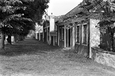 Utmed infartens östra sida till ponnyridskolan på Karlslunds herrgård, 1981