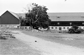 Stallet på Karlslunds herrgård, 1981