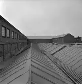 Inventering. A F Carlssons skofabrik