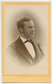 Porträtt på Ludvig Munthe.