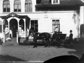 Fru von Schinkel kör dog cart, Tidö slott i Västerås.