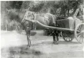 Kolbäck sn.
Hästkärra, 1910-1915.