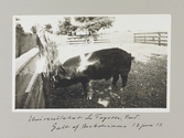 Galt vid universitetet i La Fayette i Indiana, 1913-06-12
