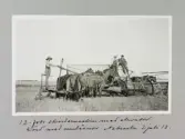 Skördemaskin med elevator körd med mulåsnor i Nebraska, 1913-07-02