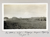 Klippiga bergen i Wyoming, USA, 2300 meter över havet, 1913-07-13