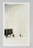 Kaskad av vatten från gejser i Yellowstone, Wyoming, 1913