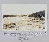 Upper geysir Bassin i Yellowstone, Wyoming, USA. Åtskilliga mindre gejsrar med på bild, 1913-07-16