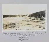 Upper geysir Bassin i Yellowstone, Wyoming, USA. Åtskilliga mindre gejsrar med på bild, 1913-07-16