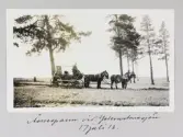 Åsnespann vid Yellowstone-sjön den 17:e juli 1913