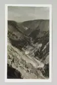Dalgång i Yellowstones nationalpark i Wyoming, 1913