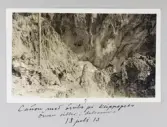 Canyon vid Yellowstone och pilen pekar på ett örnnäste med en örn i detsamma, 1913-07-18