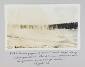 Vid Norris Bassin i Yellowstone med berg i bakgrunden, 1913-07-19