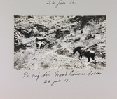 På väg ned mot Grand Canyons botten med häst, 1913-07-26