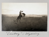 Vykort på stegrande häst med cowboy på ryggen i delstaten Wyoming, 1913