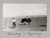 Cowboy tämjer häst i Wyoming, 1913