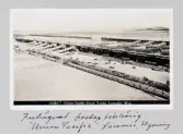 Vykort på boskapsinhängnad tillhörig Union Pacific i Laramie i Wyoming, 1913