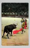 Vykort på tjurfäktning, 1913