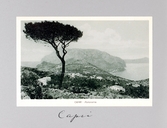 Vy över ön Capri, 1913