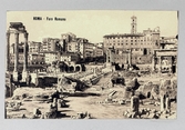 Vykort på ruiner av Forum Romanum som var ett centrum i det antika Rom, 1913