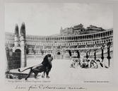 Vykort som visar scen från Colosseums arena med lejon, 1913