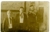 Gruppbild, barn. Från vänster, Harald, Georg och Karin Sundling.