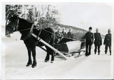 Män vid häst och vagn, vintertid. Harald Sundling i svart mössa.